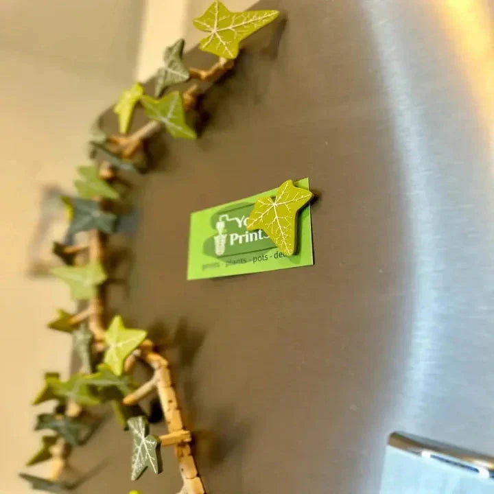 Wijnstok koelkastmagneten