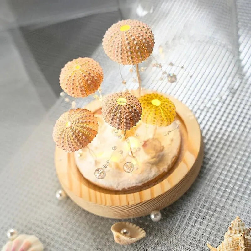 DIY Zeeschildpad Nachtlampje voor Creatieve Projecten