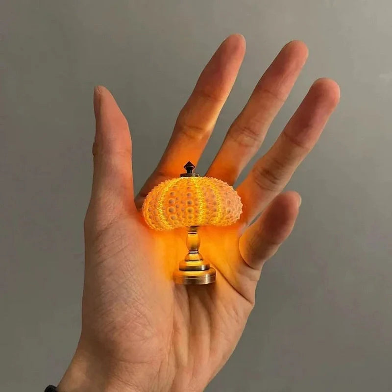 DIY Zeeschildpad Nachtlampje voor Creatieve Projecten