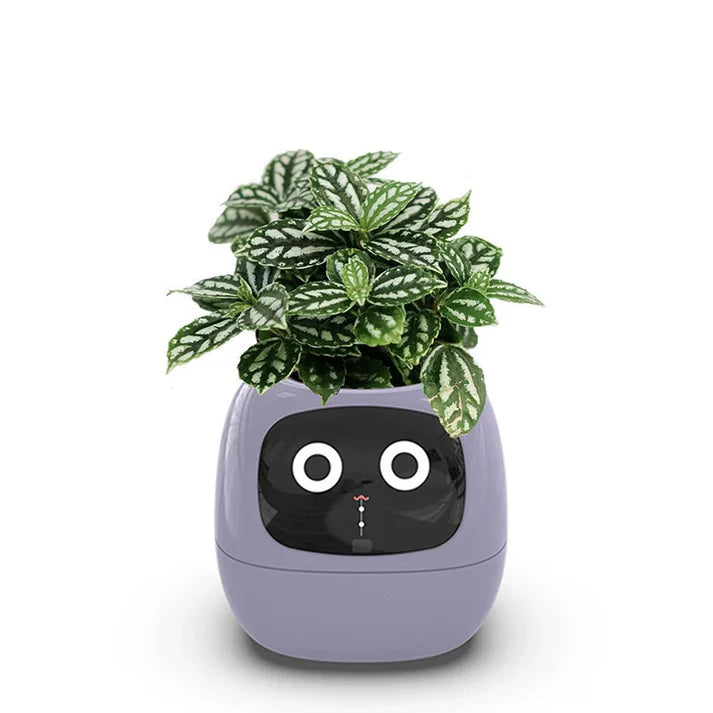 De innovatieve slimme plantenpot die uw groen revitaliseert!