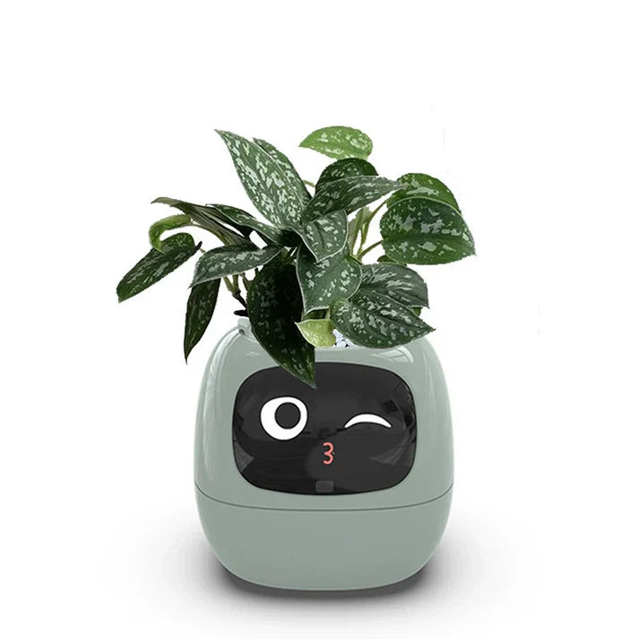 De innovatieve slimme plantenpot die uw groen revitaliseert!