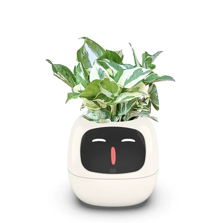 De innovatieve slimme plantenpot die uw groen revitaliseert!