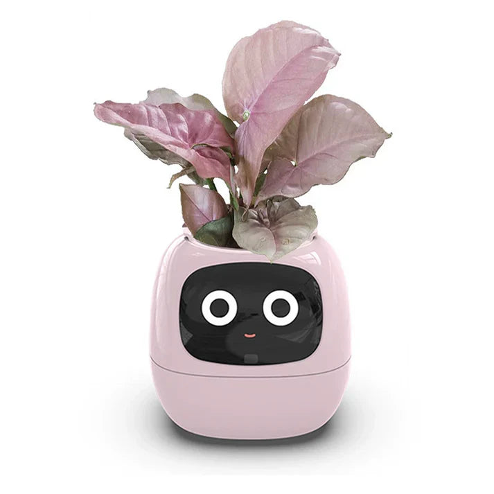 De innovatieve slimme plantenpot die uw groen revitaliseert!