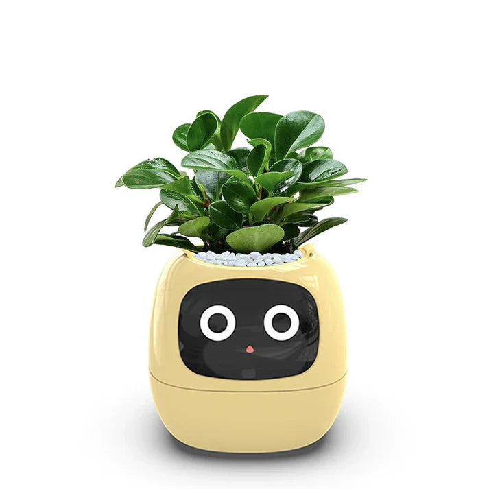 De innovatieve slimme plantenpot die uw groen revitaliseert!