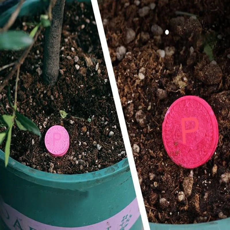 SoilBoost™️ Breng planten op een milieuvriendelijke manier weer tot leven!