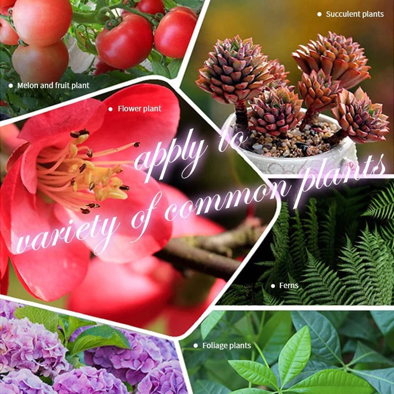 SoilBoost™️ Breng planten op een milieuvriendelijke manier weer tot leven!