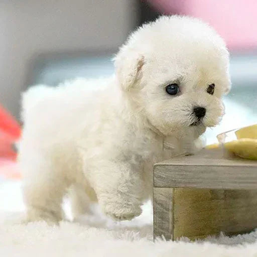 Ultra-realistische robot puppy knuffel De schattigste metgezel ooit!