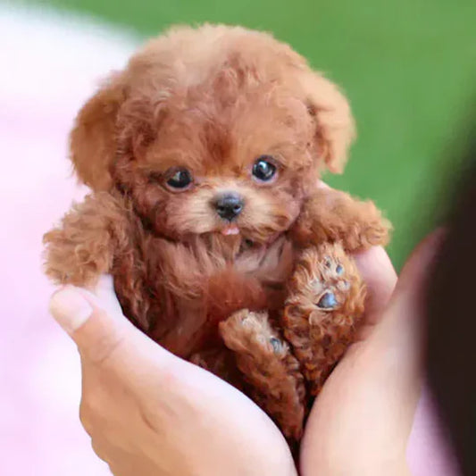 Ultra-realistische robot puppy knuffel De schattigste metgezel ooit!