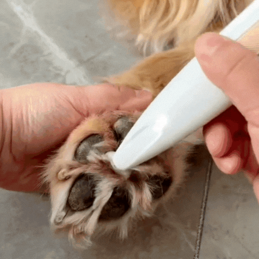 Ultieme LED Dierpoot Trimmer – Onmisbare Verzorgingsgereedschap voor uw Geliefde Harige Vriend!